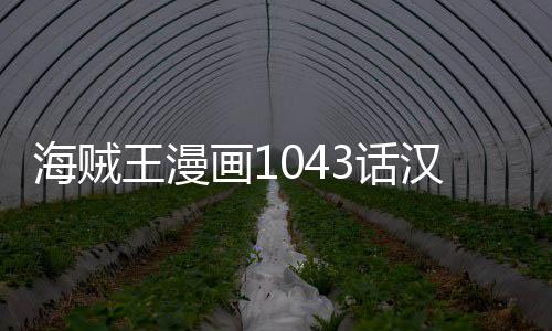 报剧透内容贼王海贼画13话汉化 海话最新情王漫