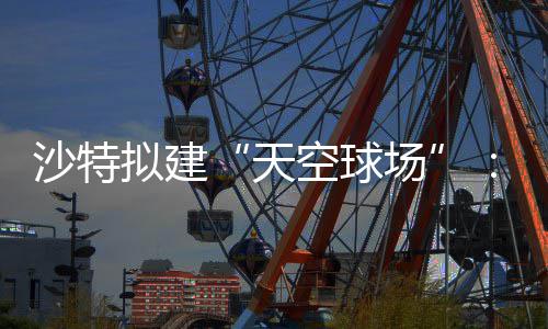 天界杯举行拟建或在场空球空中沙特4世