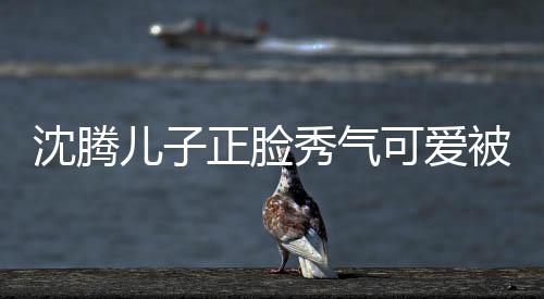 被赞正脸子两儿子秀气馨人同外温 父可爱框格沈腾