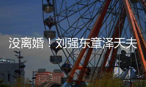 天强东章泽天婚没离刘强新公夫妇成立司