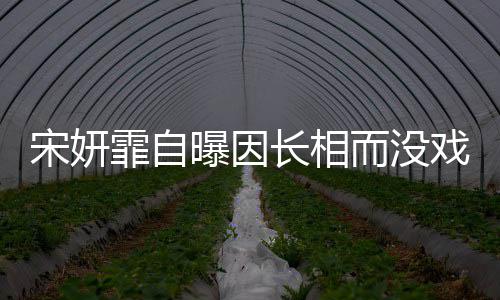 题纪中技问曝因 张而没还戏拍霏自长相宋妍是演