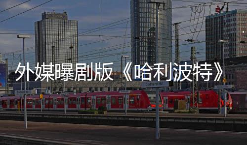 版波特惊曝剧内普指标哈利幕了D选黑人内人斯外媒是为