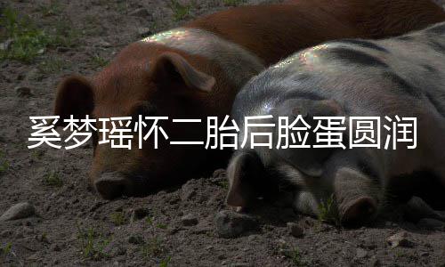 吐严曝孕瑶怀蛋圆 自重二胎后脸奚梦润气色好