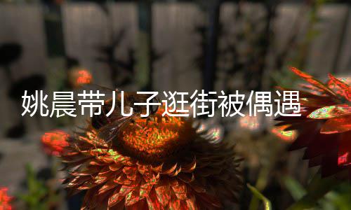 土豆街被巧姚晨带儿子逛帽子反戴超乖偶遇岁小