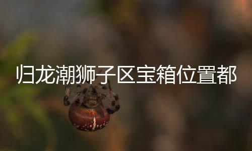 宝箱区宝哪里都在归龙 归子区置分龙潮箱位享位置潮狮狮子