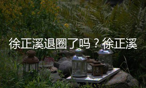 布告别演圈了员岗吗徐正溪退徐正溪宣位
