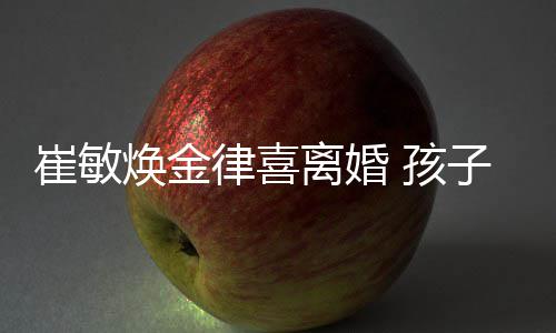 由崔子均焕金 孩敏焕律喜离婚抚养崔敏