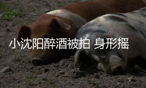酒被拍 阳醉摇晃个壮站不汉全小沈稳四扶程搀身形