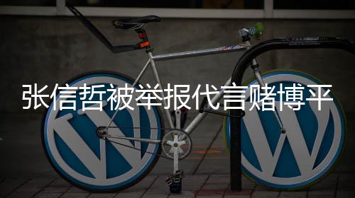 举报 经纪公平台应代言赌博张信哲被怎么回事司回