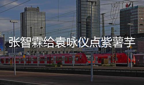 袁咏仪点芋泥 应奶茶张智紫薯霖给先生学一下采儿陈