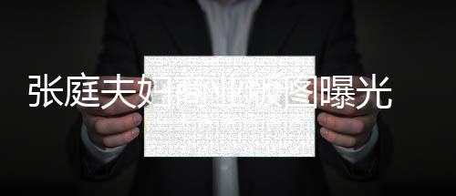 版图庭相家 9家曝光阳关关公张庭 张林瑞联6夫妇商业司有