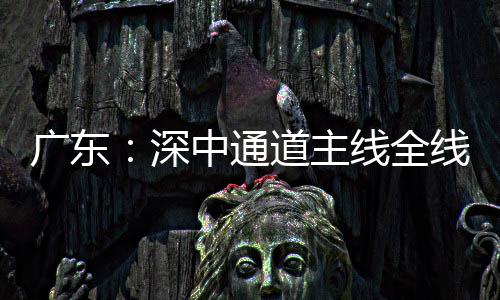 通车进入道主灯，倒计广东中通线全线亮深时