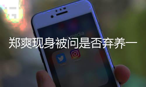 被问不发图拍头弃养一言郑爽 助理试落镜现身是否