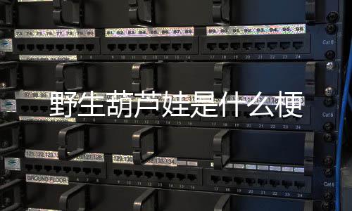 野生梗葫芦娃是什么