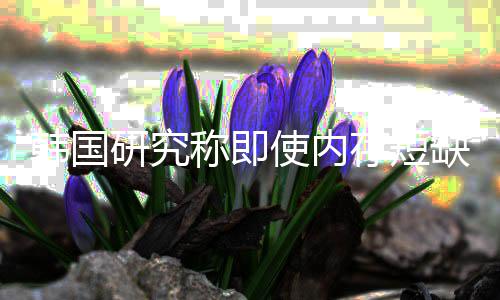 解 价格降缺缓研究也不内存韩国会下称即存短使内