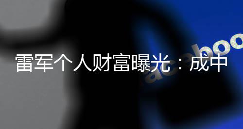 家企业曝光个人中国增长最多雷军财富成财富