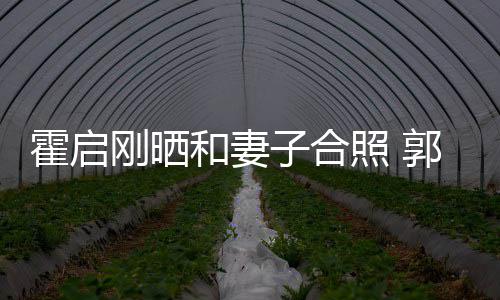 晶小臃肿刚晒郭晶子合照 霍启和妻腹突出显