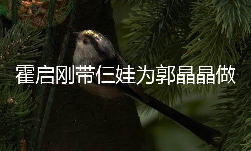 晶晶家人亲节其乐 一蛋糕刚带做母霍启融融为郭仨娃
