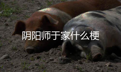 家什阴阳么梗师于