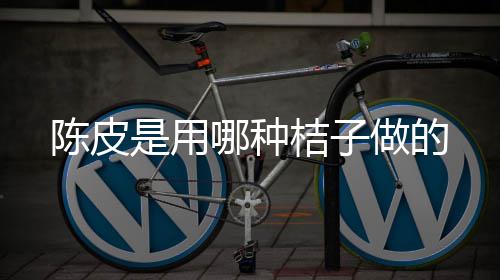 桔子哪种做的陈皮是用