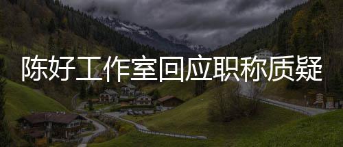 教授应职疑的评定工作资格陈好称质从未参与室回