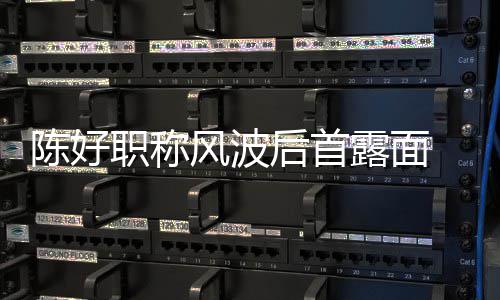 机排颜值 拿对讲职称在线后首话剧露面风波陈好