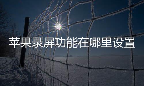 苹果功能在哪置录屏里设