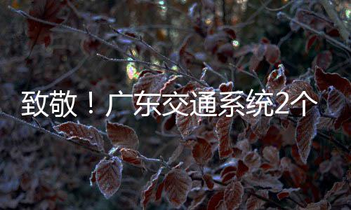 通系统2体一劳东交动奖广个集个人国五致敬获全4名