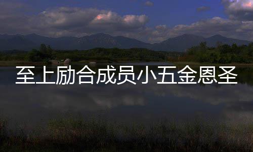 金恩功求至上争议婚张檬 励合两人懒理小五成员圣成