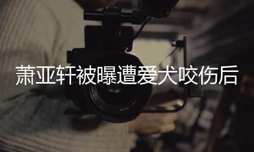 疤爱犬曝遭咬伤 已后首脸照萧亚轩被出伤看不晒正
