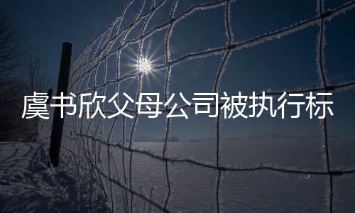 标的间接虞书余元执行 曾自称母公欣父人2万司被受害