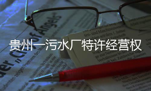 特许经营权终一污贵州止水厂