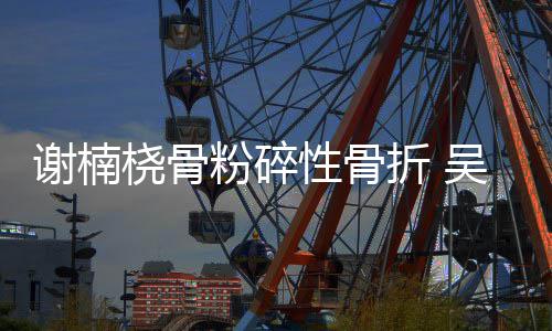 透露妻子折 谢楠性骨桡骨吴京粉碎成功手术