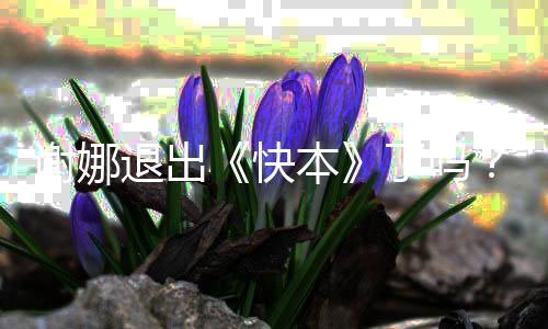 本退出娜改个人么回了吗谢娜谢认证快是怎事