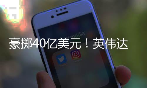 家光巨头亿美元英伟达押注两豪掷芯片