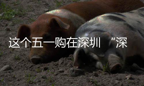 启动开购在这个之约活享生五一费活 畅促消深圳深圳