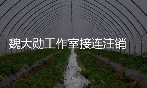 接连 经及多营范个方作室注销面勋工魏大围涉