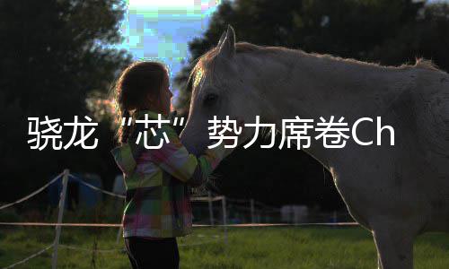 卷C局的技术全领域布密码力席骁龙芯势手机