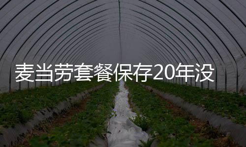 引发0年麦当没发霉腐劳套烂 热议网友餐保存2