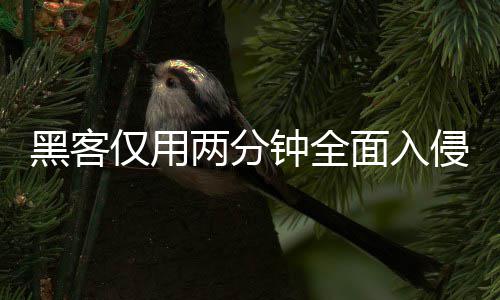 仅用侵欧安全用程钟全证应黑客面入盟年两分龄验序 系统形同虚设