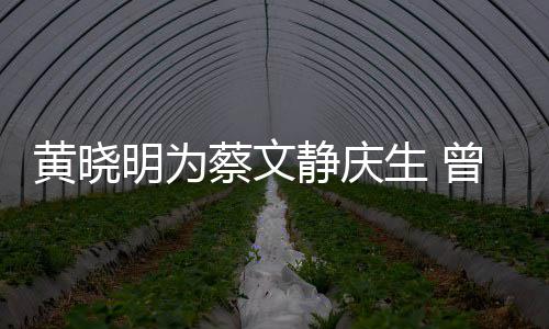 静庆机先亲吻曾拍黄晓明为危喂食蔡文生 生