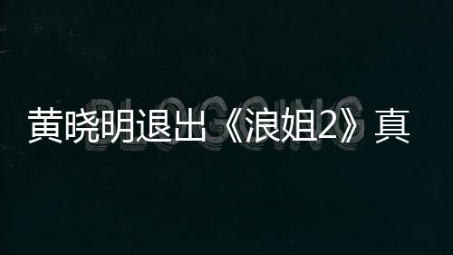 真的黄晓黄晓明退吗 明退浪姐浪姐出出是为什么