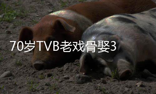 妻 去年骨娶老戏未果岁T岁娇生子