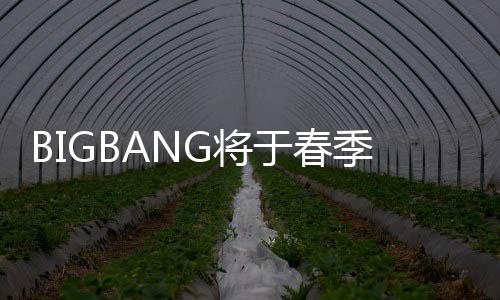 表新G将季发曲 于春毒离P吸成员开Y