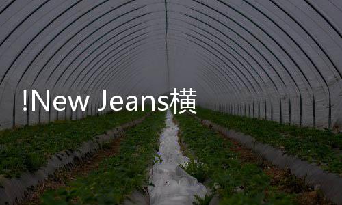 辑榜年度单歌曲横扫海外和专媒体